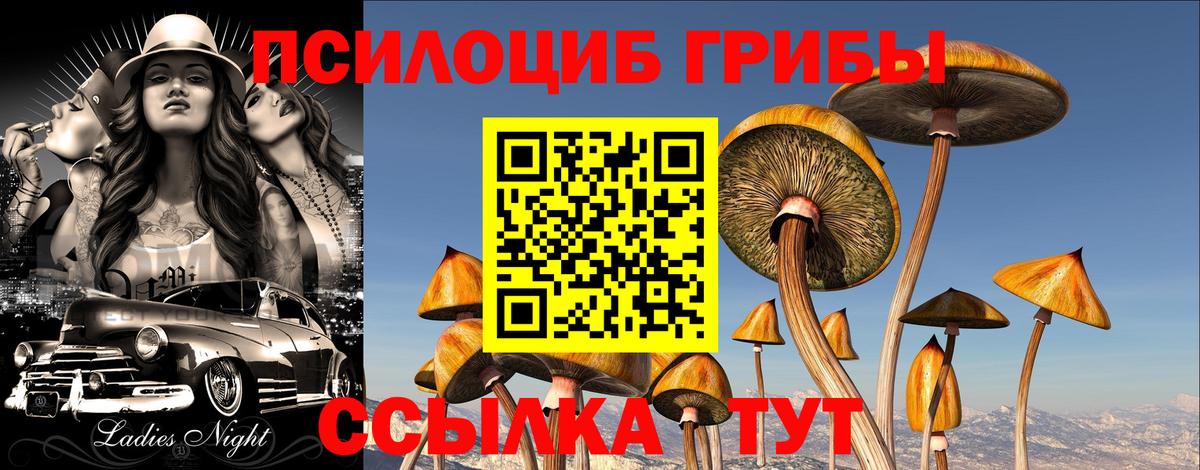 Псилоцибиновые грибы мухоморы Тихорецк